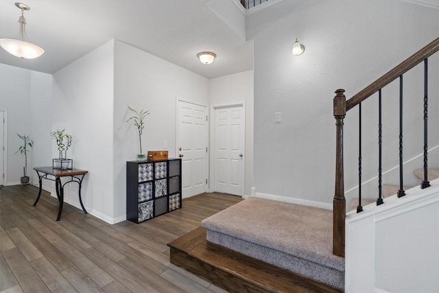 foyer featuring wood-type flooring