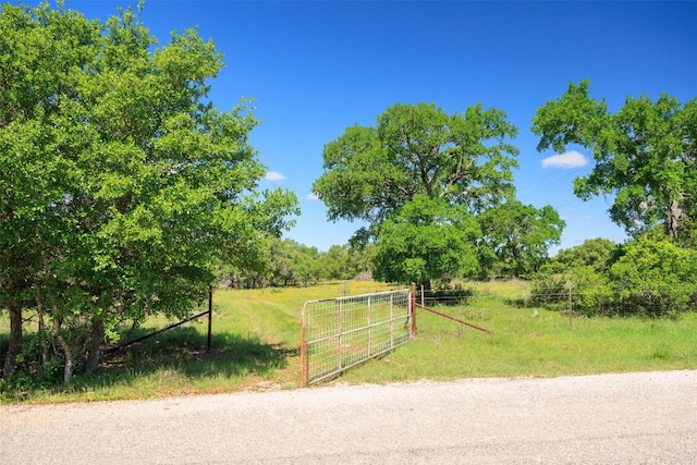 480 Blue Creek Dr, Dripping Springs TX, 78620 land for sale