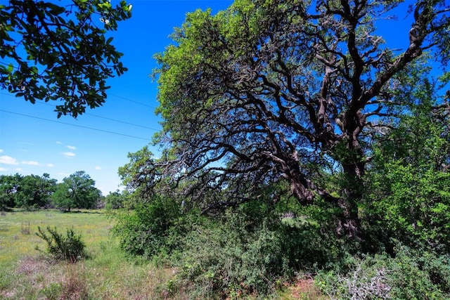 Listing photo 3 for 480 Blue Creek Dr, Dripping Springs TX 78620