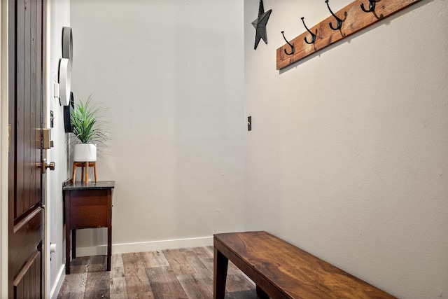 mudroom with hardwood / wood-style floors