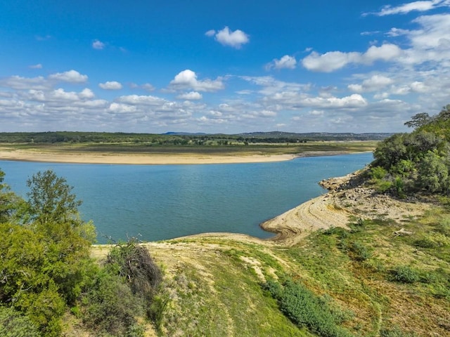 106 Center Cove Ii Loop, Spicewood, TX 78669 - water view