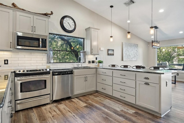 106 Center Cove Ii Loop, Spicewood, TX 78669 - kitchen with stainless steel appliances, a sink, a peninsula, vaulted ceiling, and wood finished floors