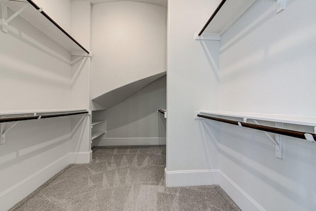 walk in closet with light colored carpet