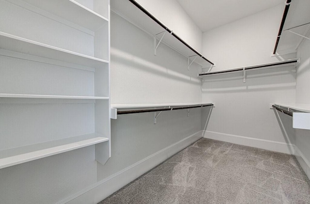 walk in closet featuring light carpet