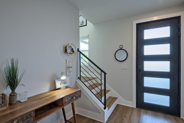 foyer with hardwood / wood-style flooring and a healthy amount of sunlight