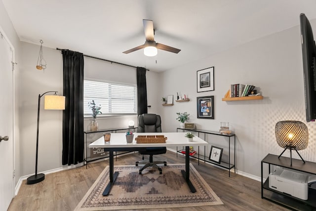 office space featuring hardwood / wood-style flooring and ceiling fan