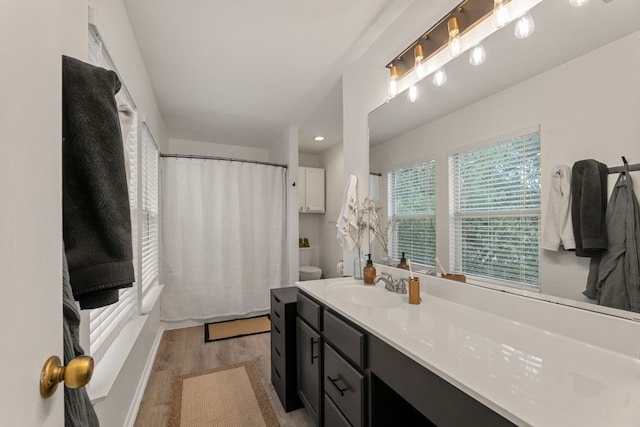 bathroom featuring hardwood / wood-style floors, vanity, and toilet