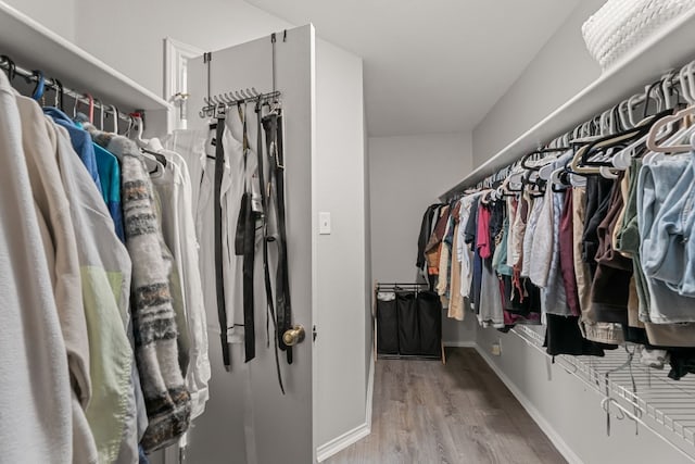 walk in closet with light hardwood / wood-style floors