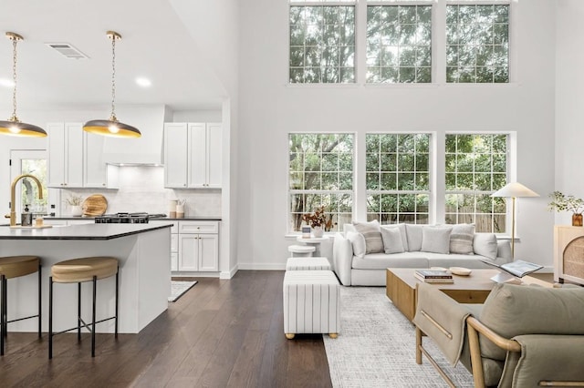 living room with dark hardwood / wood-style floors, a healthy amount of sunlight, a towering ceiling, and sink