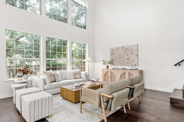 living room with a high ceiling, hardwood / wood-style flooring, and a healthy amount of sunlight