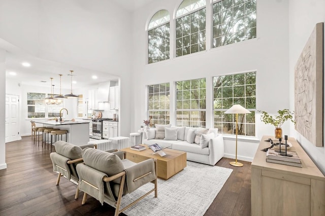 living room with sink, a towering ceiling, dark wood-type flooring, and a wealth of natural light