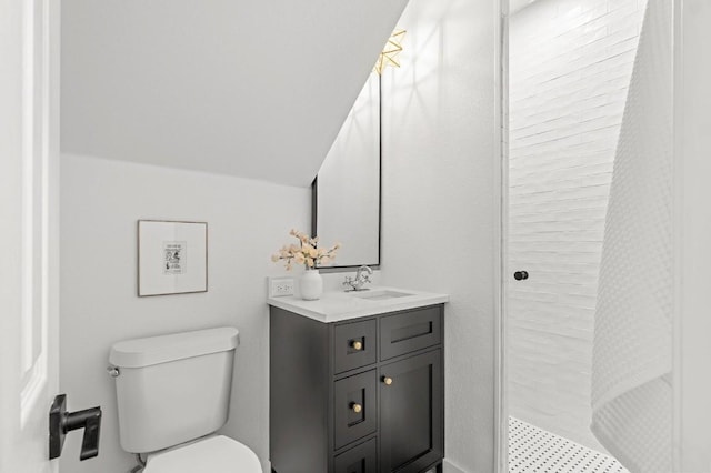 bathroom featuring a shower, vanity, and toilet