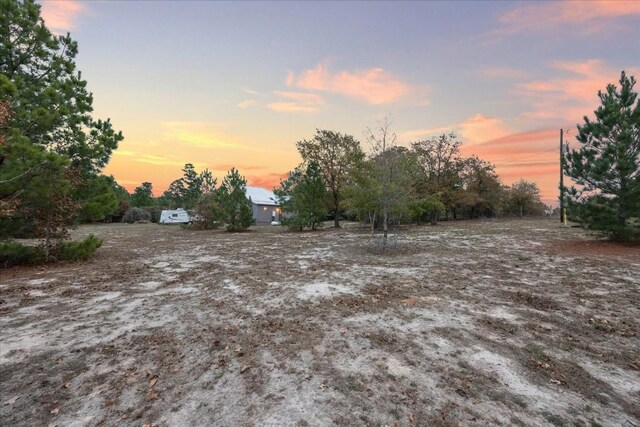 364 Ponderosa Loop, Paige, TX 78659 - view of yard at dusk