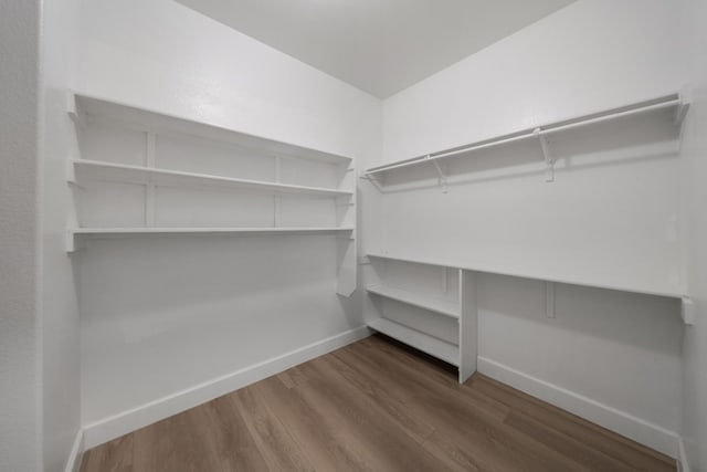 walk in closet featuring hardwood / wood-style floors