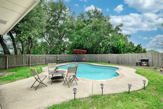 view of swimming pool featuring a patio and grilling area