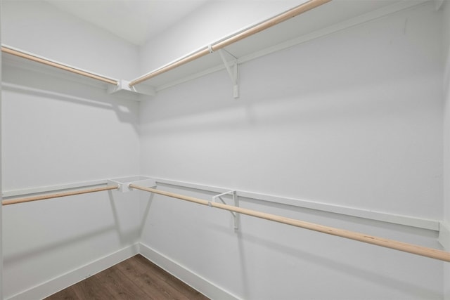 spacious closet with dark wood-type flooring