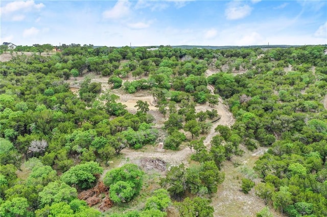 11319 Mountain Top Cir, Jonestown, TX 78645 - photo 12