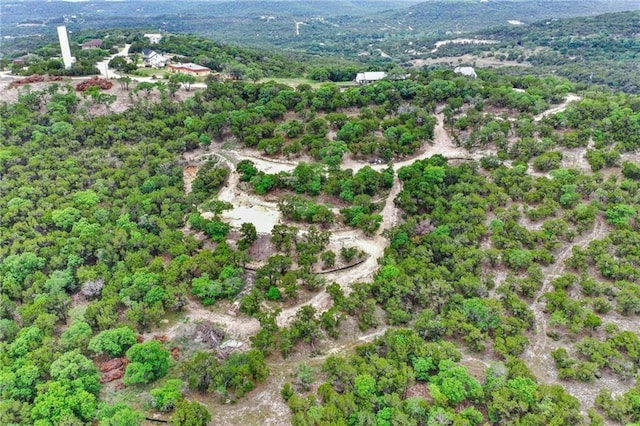 11319 Mountain Top Cir, Jonestown, TX 78645 - photo 13