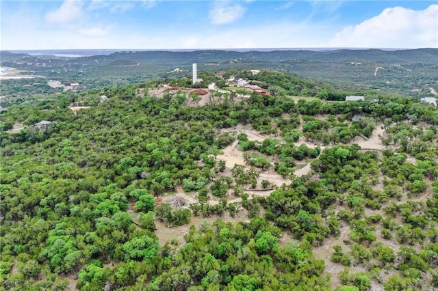 11319 Mountain Top Cir, Jonestown, TX 78645 - photo 14