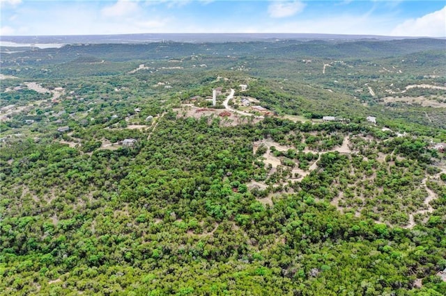 11319 Mountain Top Cir, Jonestown, TX 78645 - photo 18
