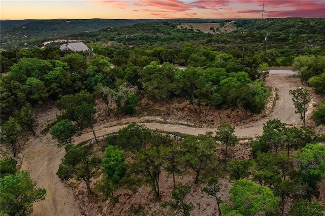 11319 Mountain Top Cir, Jonestown, TX 78645 - photo 1
