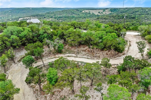 Listing photo 3 for 11319 Mountain Top Cir, Jonestown TX 78645