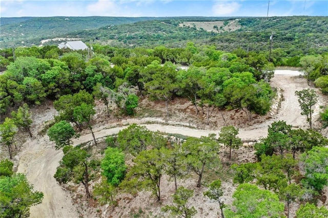 11319 Mountain Top Cir, Jonestown, TX 78645 - photo 3