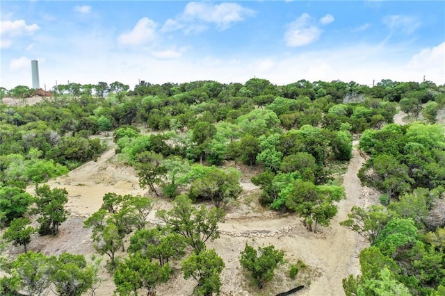 11319 Mountain Top Cir, Jonestown, TX 78645