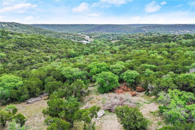 11319 Mountain Top Cir, Jonestown, TX 78645