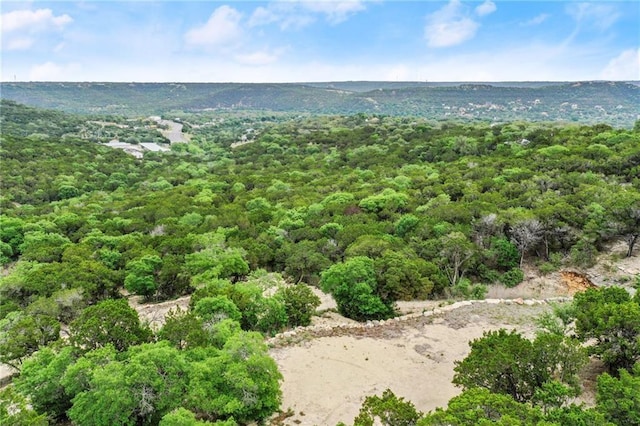 11319 Mountain Top Cir, Jonestown, TX 78645
