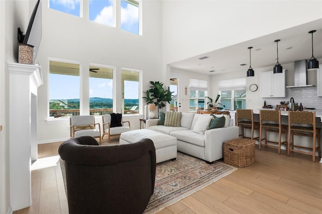 living room with a mountain view and light wood-type flooring