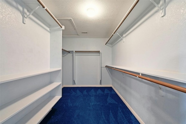 walk in closet featuring carpet flooring and visible vents