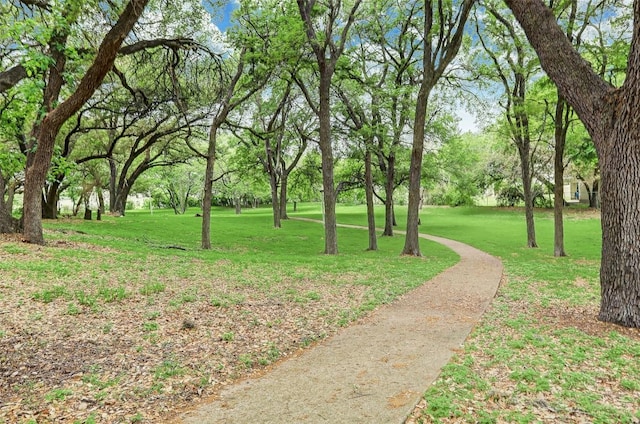 exterior space with a yard