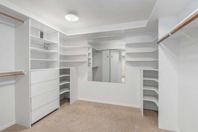 walk in closet featuring light carpet