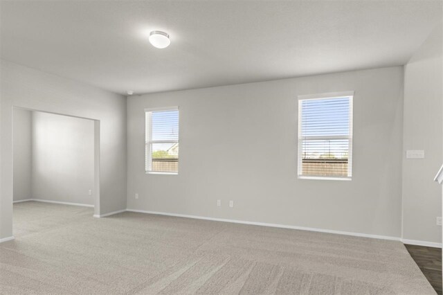 carpeted spare room with a wealth of natural light