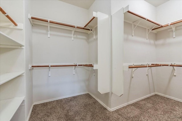 spacious closet with carpet flooring