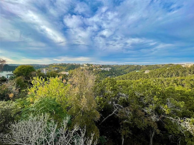 4324 Far W Blvd, Austin, TX 78731 - mountain view with a forest