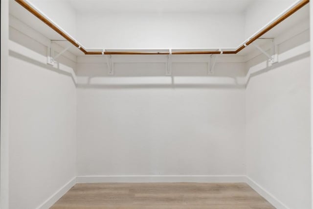 walk in closet featuring wood-type flooring