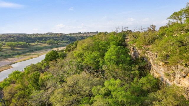 PRIVATEROAD10 Pedernales Canyon Trl, Spicewood, TX 78669 - photo 3
