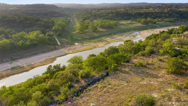 PRIVATEROAD10 Pedernales Canyon Trl, Spicewood, TX 78669 - photo 17