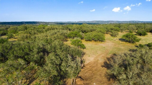 PRIVATEROAD10 Pedernales Canyon Trl, Spicewood, TX 78669 - photo 6