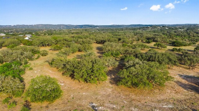 PRIVATEROAD10 Pedernales Canyon Trl, Spicewood, TX 78669 - photo 19