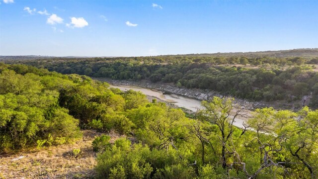 PRIVATEROAD10 Pedernales Canyon Trl, Spicewood, TX 78669 - photo 16