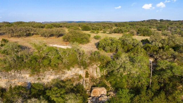 PRIVATEROAD10 Pedernales Canyon Trl, Spicewood, TX 78669 - photo 12