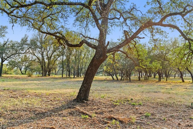 PRIVATEROAD10 Pedernales Canyon Trl, Spicewood, TX 78669 - photo 9
