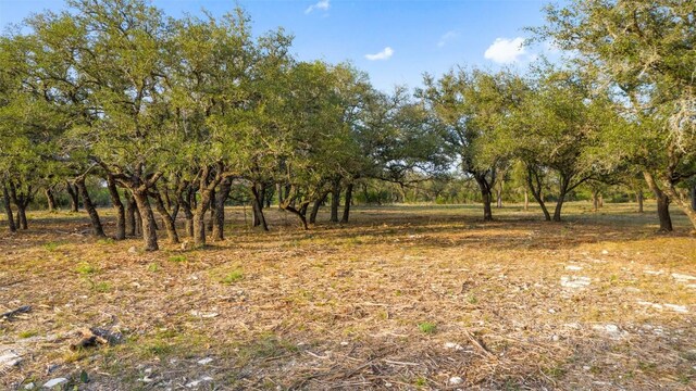 PRIVATEROAD10 Pedernales Canyon Trl, Spicewood, TX 78669 - photo 8