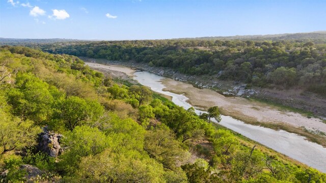 PRIVATEROAD10 Pedernales Canyon Trl, Spicewood, TX 78669 - photo 22
