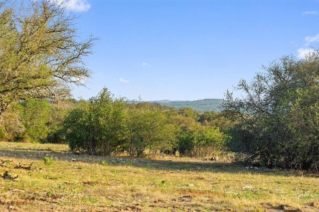 PRIVATEROAD10 Pedernales Canyon Trl, Spicewood, TX 78669 - photo 10