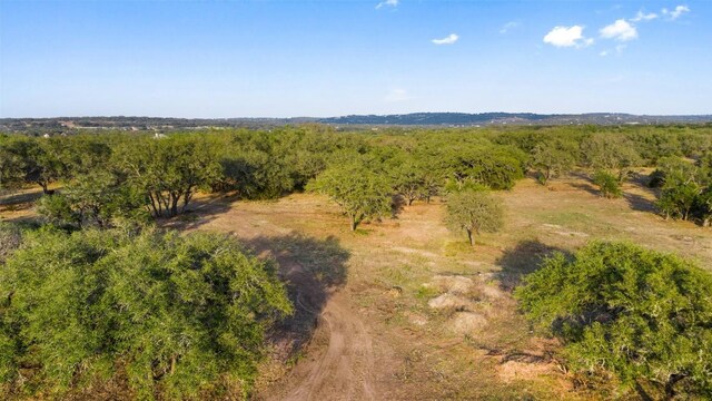 PRIVATEROAD10 Pedernales Canyon Trl, Spicewood, TX 78669 - photo 23
