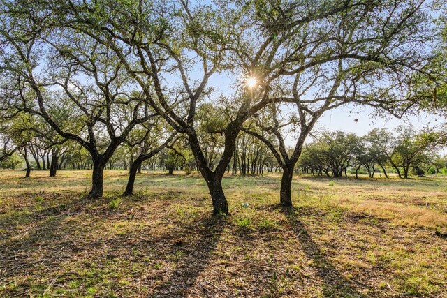PRIVATEROAD10 Pedernales Canyon Trl, Spicewood, TX 78669 - photo 24